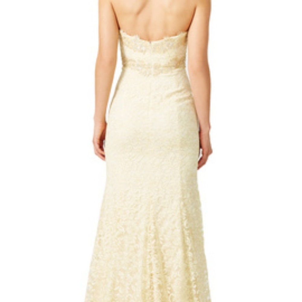 Light Yellow Gown - Picture 4 of 5